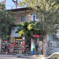 فروش کامل تجاری مسکونی دو باب مغازه