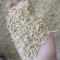 فروش کاه یونجه جو سبوس دان مرغ و....