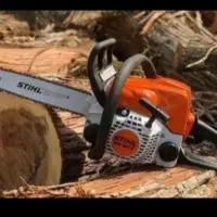 خرید چوب به قیمت روز|خدمات باغبانی و درختکاری|زنجان, |دیوار