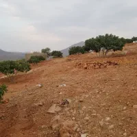 باغ انجیر ۱۰ کیلومتری نوایگان لایزنگان