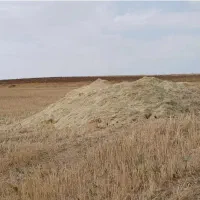 فروش کاه گندم درجه یک