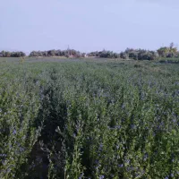 فروش ۱۲ساعت آب وزمین کشاورزی درگوهرکوه