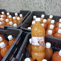 آبغوره خونگی شیرازی درجه یک