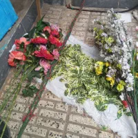 گل مصنوعی|گل مصنوعی|رشت, سلیمانداراب|دیوار