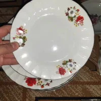 پشقاب و زیر پوستی گل سرخی|ظروف سرو و پذیرایی|اراک, |دیوار