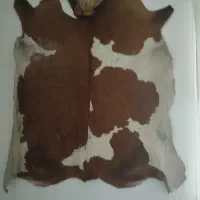 فرش پوست