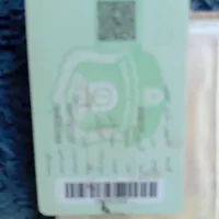 گمشده