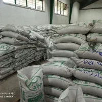 قرارداد کشت گندم 15درصد بالاتر از قیمت ونقدی