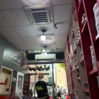 منشی خانم