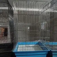 1 عدد قفس مدل 1033 و دو عدد مدل 1034|لوازم جانبی حیوانات|اندیشه, اندیشه فاز ۱|دیوار