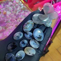 ده عدد شجر تک درخت حراج خاص|بدلیجات|ساوه, |دیوار