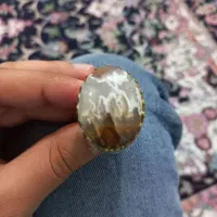 انگشتر نقره سنگ شجر|جواهرات|نکا, |دیوار