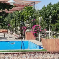 باغ-زازران-فروشی