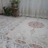 ۲ تخته فرش ۱۰۰۰ شانه  و۲ تخته فرش ۱۲۰۰ شانه|فرش|رزن, |دیوار