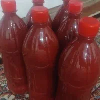 رب خانگی