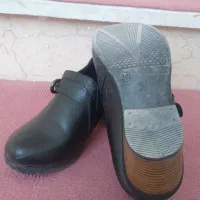 کفش مجلسی زنانه|کیف، کفش، کمربند|شاندیز, |دیوار