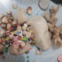 سنگ و صدف و مجسمه و سنگ رنگی