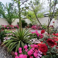 اجاره روزانه/هفتگی/ماهانه ویلا ۵۰ متری|اجارهٔ کوتاه‌مدت ویلا و باغ|بابلسر, |دیوار