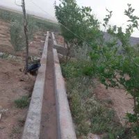 فروش باغ زراعی با درختان پسته و انار