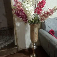 حراج گل گلدان کنار سالنی