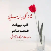 گمشده