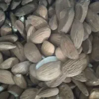 مغز بادام شیرین