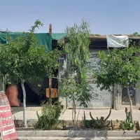 فروش دو مغازه