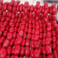 پخش پروتئین سوسیس همبرگر پنیر پیتزا ذرت ...|خوردنی و آشامیدنی|قم, صفائیه|دیوار
