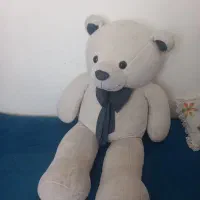 خرس بزرگ
