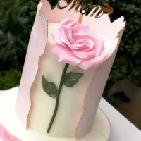 کیک رژیمی و کم کالری|خدمات پذیرایی، مراسم|لاهیجان, گلستان|دیوار