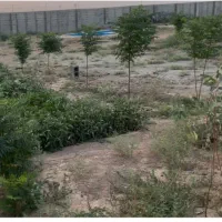 فروش-زمین-قطعه-بندی-1000متری-شهرک-قله-طلا