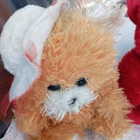 دوعدد عروسک در حد نو|اسباببازی|رشت, منظریه|دیوار