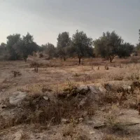 باغ زیتون، جمال آباد، ۳۶۰۰ متری