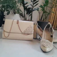 کیف و کفش ست مجلسی