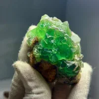 فلوریت کلیکسیونی تکرار نشدنی