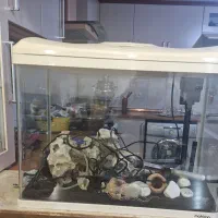 اکواریوم شیشه خم