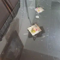 میز نهار خوری ۶ نفره در حد نو|میز و صندلی غذاخوری|بجنورد, |دیوار