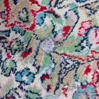 سنگ شجر بهاره