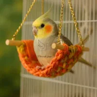 وسیله پرندگان