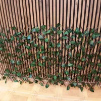 گرین وال قابل شستشو UV