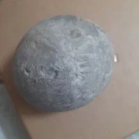 فسیل خارپشت|کلکسیون اشیاء عتیقه|مشهد, فریزی|دیوار