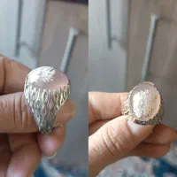 انگشتر شجر اصل
