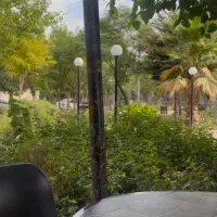 کافه اِبی