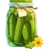 ارسال رایگان