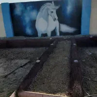 صوفیان-میلاد-سبز-شیرین-چای-شبستر