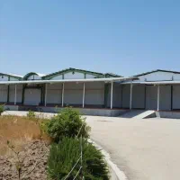 سردخانه سورتینگ منطقه آزاد امیرآباد|فروش دفتر صنعتی، کشاورزی، تجاری|بهشهر, |دیوار