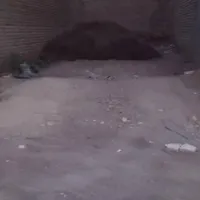 فروش خانه ویلایی ۷۵ متری ۱ خوابه در کلاته توکلی|فروش خانه و ویلا|تربت‌حیدریه, کلاته توکلی|دیوار