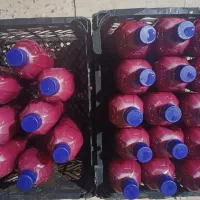 آب انار خالص چشمه علی سفارش شنبه