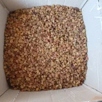 کشمش|خوردنی و آشامیدنی|شیروان (خراسان), |دیوار