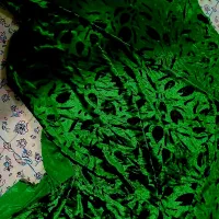 پارچه مخمل مجلسی کره ای درجه  یک|لباس|تهران, والفجر|دیوار